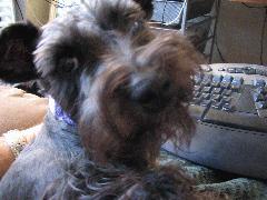 Mimi 5.JPG Mimi 5.JPG